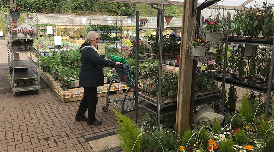 Garden centre sales 2023 what's the latest? UPDATED HortWeek