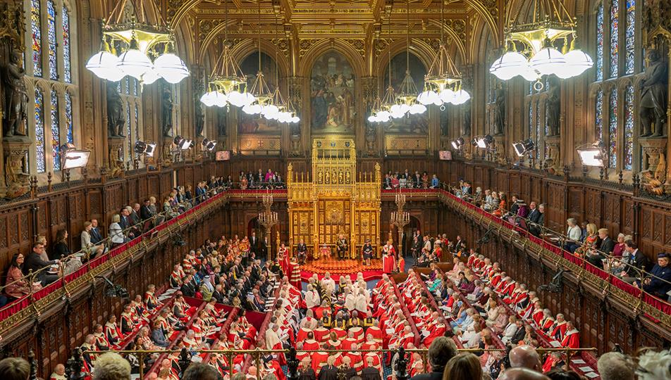 Nine Lords' horticultural enquiry questions answered, including ...