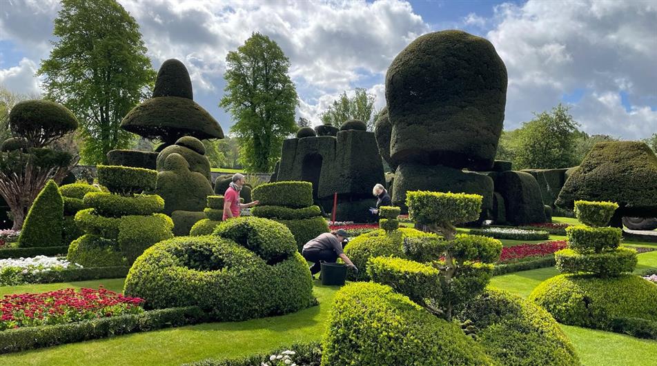 Popularity of topiary gardens continues to rise as King Charles adds