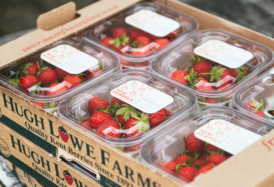 Hugh Lowe Farms' Mini Berries back in Waitrose HortWeek