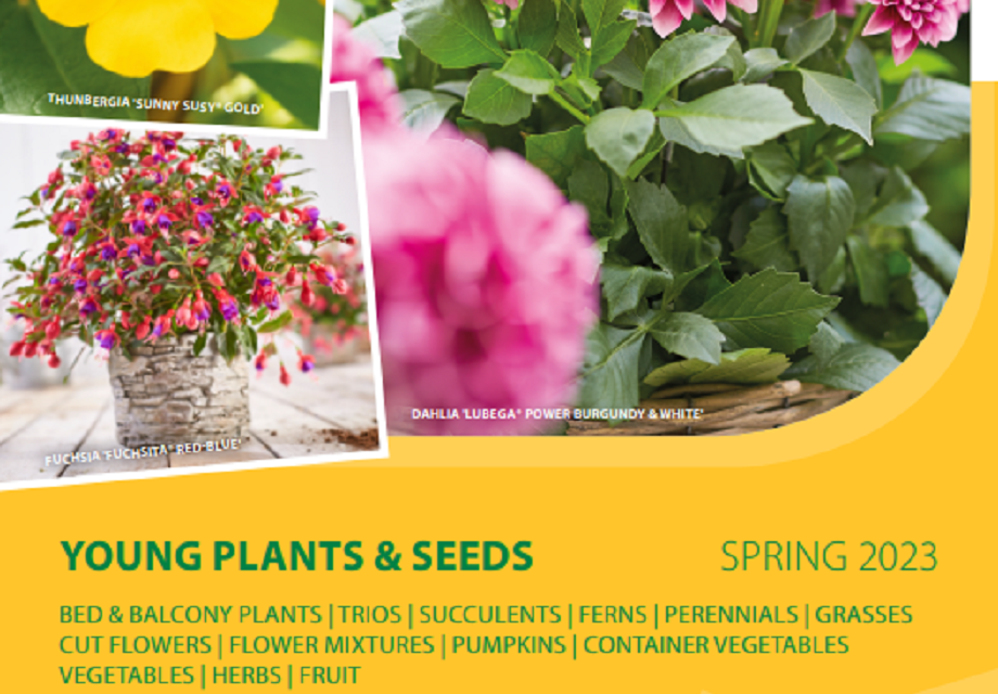 Volmary launches 2023 Spring / Summer Seed and Young Plant Catalogues