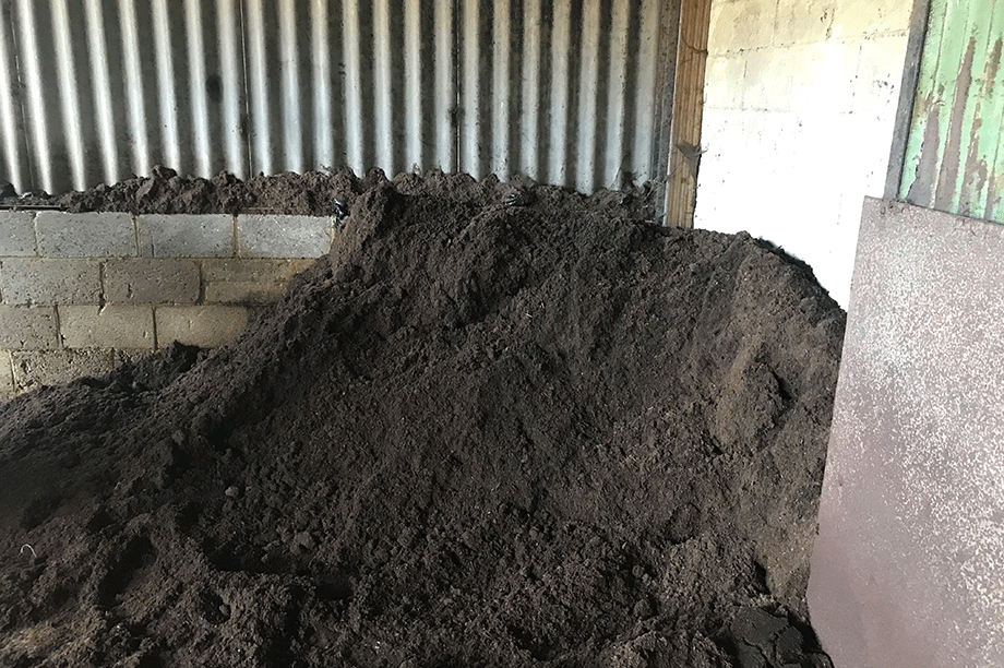 Irish peat harvesting - is there hope for growers on the horizon ...