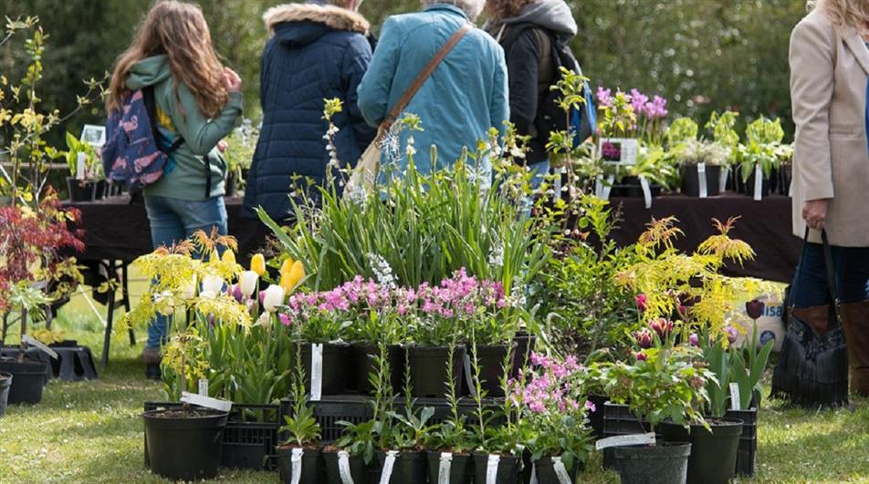 Seasonal plant fairs to take place at Arundel Castle HortWeek