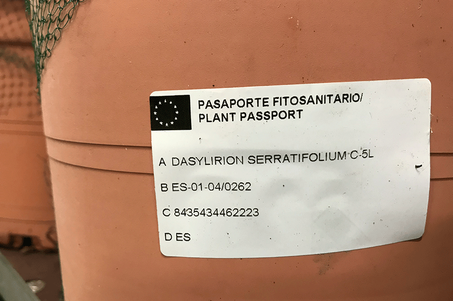 Plant passport regulations clarified in coronavirus crisis for online ...