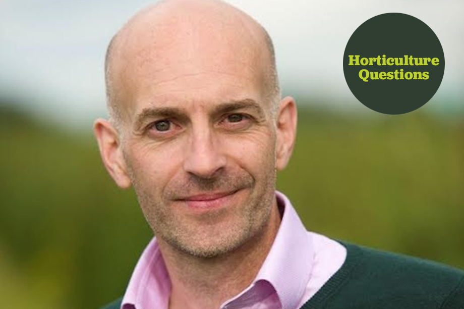 Six questions with Haskins Garden Centres group plant buyer Richard