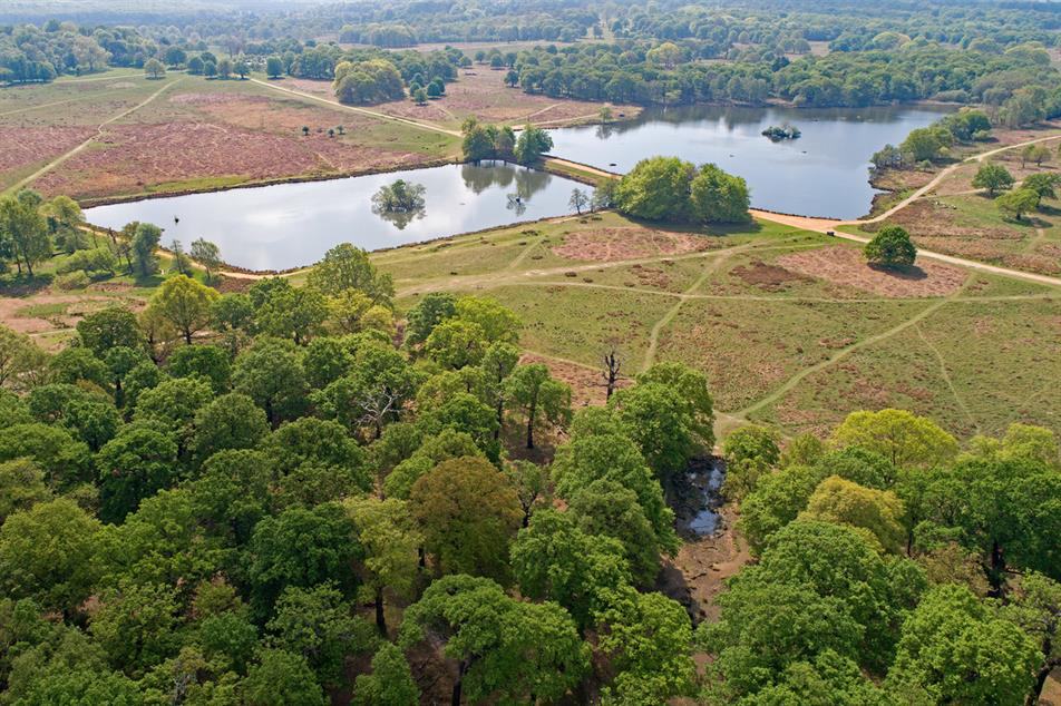 Three Warwickshire groups receive special trees from Platinum