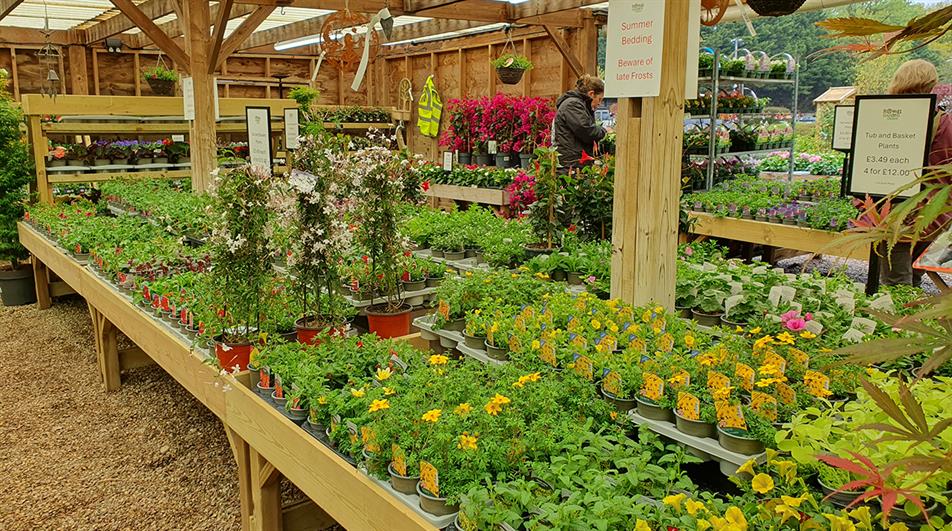 VAT on plants not cakes angers garden centre owner HortWeek