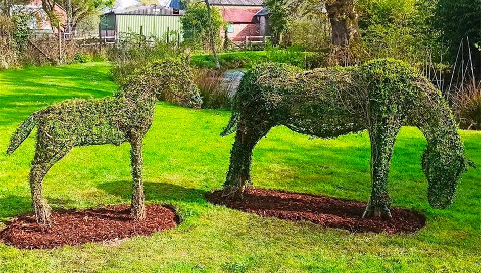 Agrumi Queen's pony display for RHS Chelsea | HortWeek