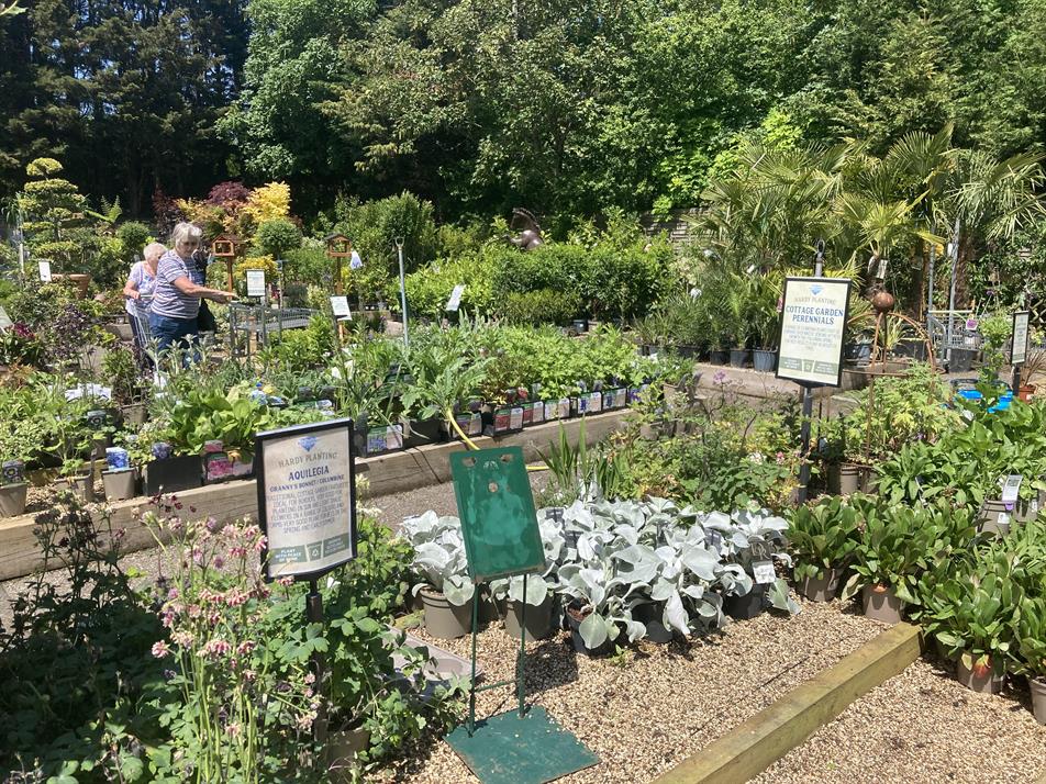 May bank holiday garden centre sales 'unbelievable': seven experts ...